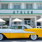 Cover image for Avalon By Day