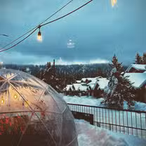 A photo of wildflour restaurant