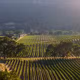 A Taste of Italy Photo