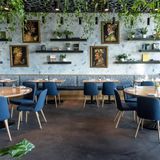 Cover image for Rocca Tampa