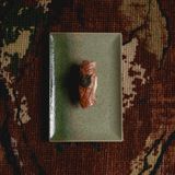 Cover image for Wani Tzuki