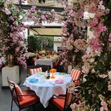 Cover image for The Garden at Corinthia London