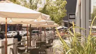 A photo of Ladyfish restaurant