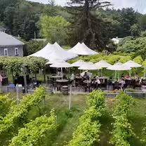 A photo of Appolo Vineyards restaurant