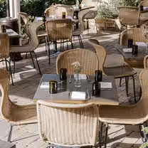 Foto del ristorante Paloma