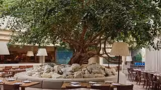 A photo of Olympus restaurant