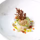 Signature Menus Photo