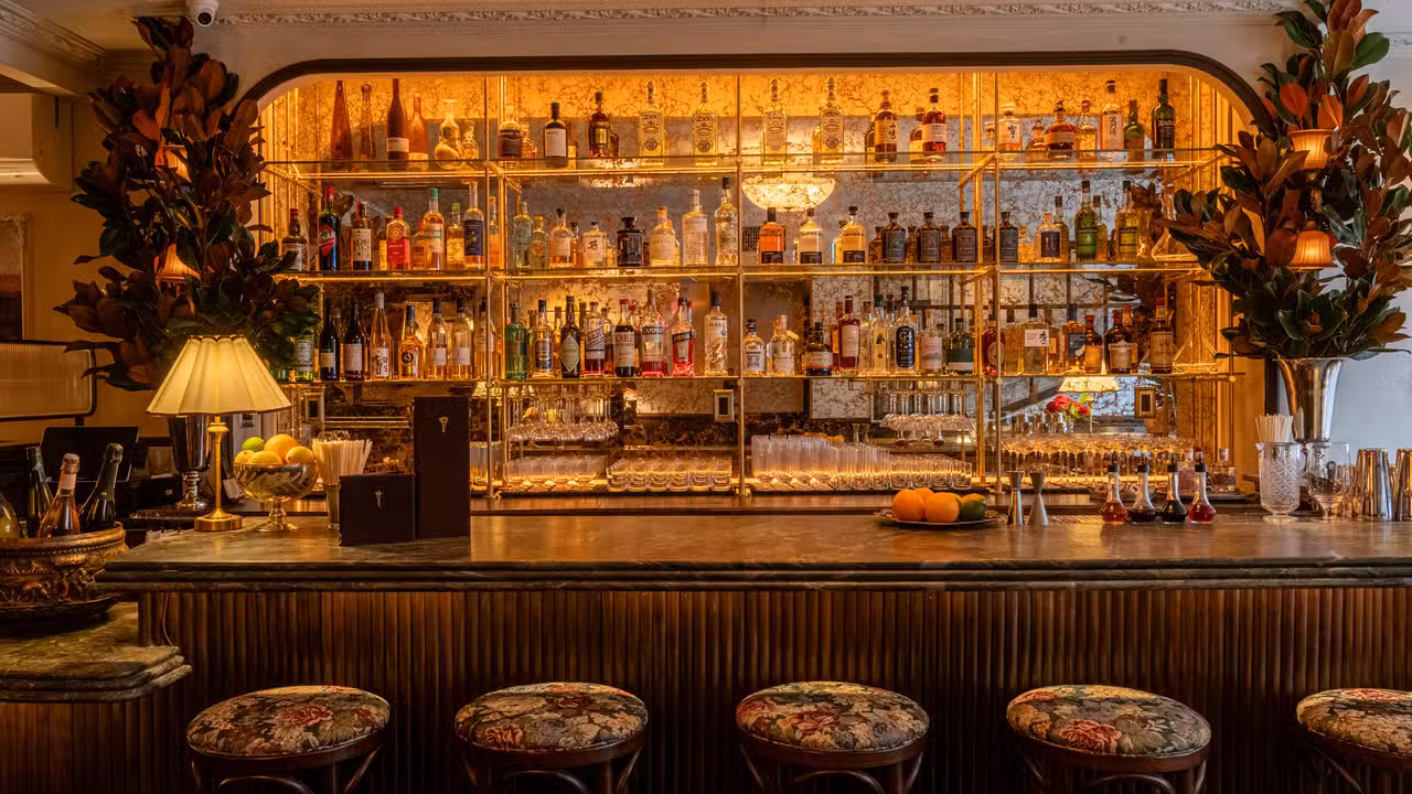 A bold new entry into the NYC casual fine dinning. - Dahla, New York, NY