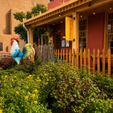 Cover image for TerraCotta Wine Bistro