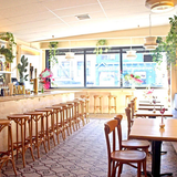 Cover image for Sally's