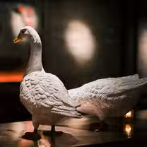 Una foto del restaurante Gusi