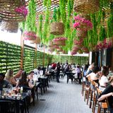 Cover image for Nueva Cantina - Downtown Tampa