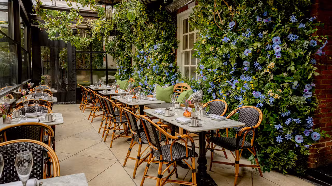 Festive terrace - Dalloway Terrace, London, London