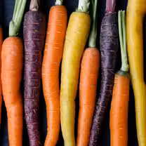 A photo of 24 Carrot Bistro restaurant