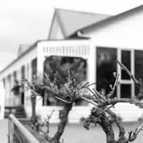 A photo of Winter at TREAND restaurant