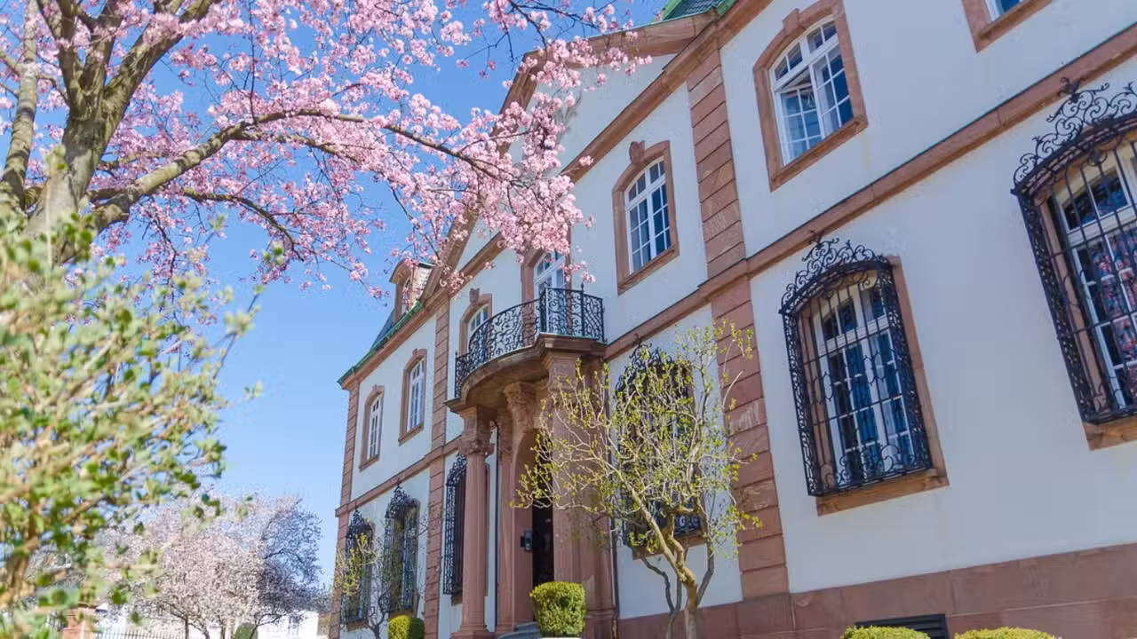 @Villa Merton - Villa Merton, Frankfurt am Main, HE