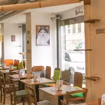 A photo of Katzentempel Nürnberg restaurant