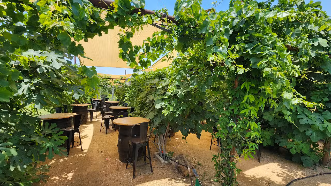 Exterior - In Contrada Vineyard + Kitchen, San Antonio, TX