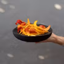 A photo of Alto restaurant