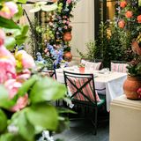 Cover image for The Garden at Corinthia London