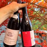 写真（Terroir Tuesday）