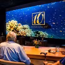 Una foto del restaurante 10  Experiences