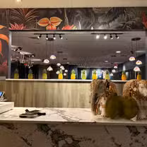 A photo of Lemongrass Thai restaurant