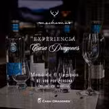 Experiencia con Casa Dragones Foto