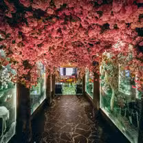 A photo of The Ivy Asia, Mayfair restaurant
