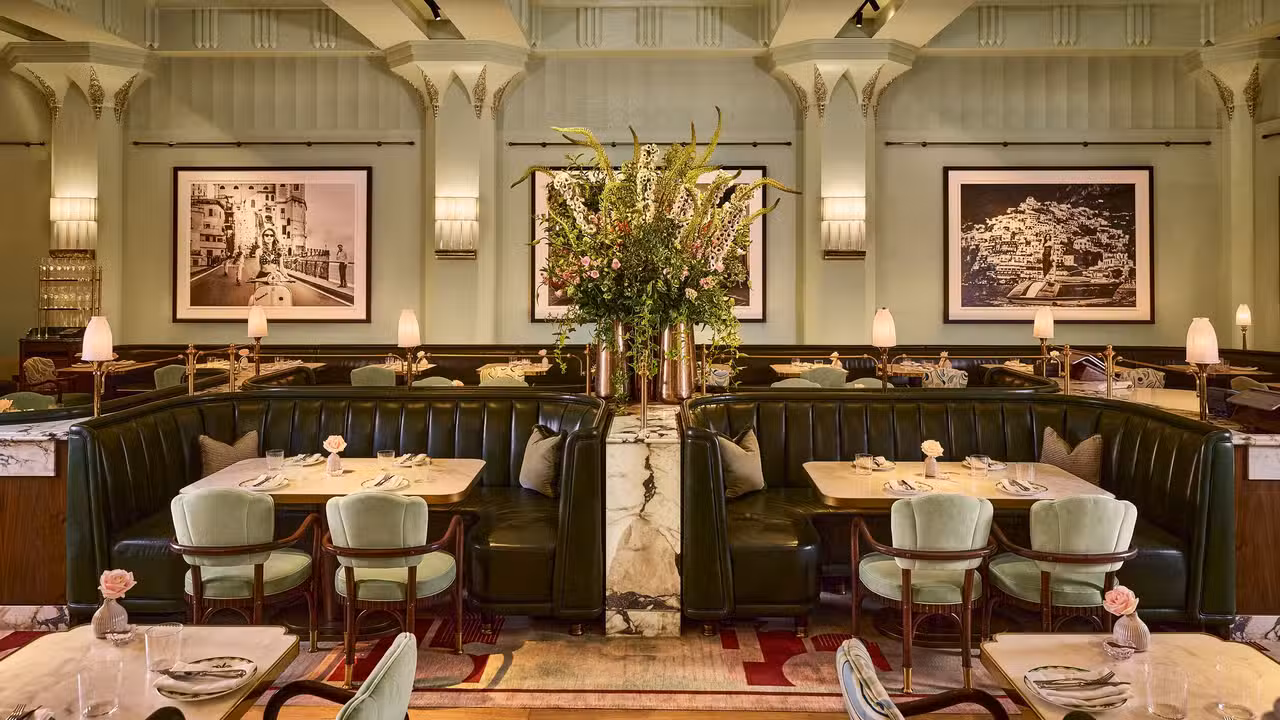 Dante Mayfair - Dante Mayfair, London, Greater London