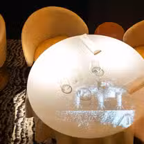 Una foto del restaurante Maison Joia
