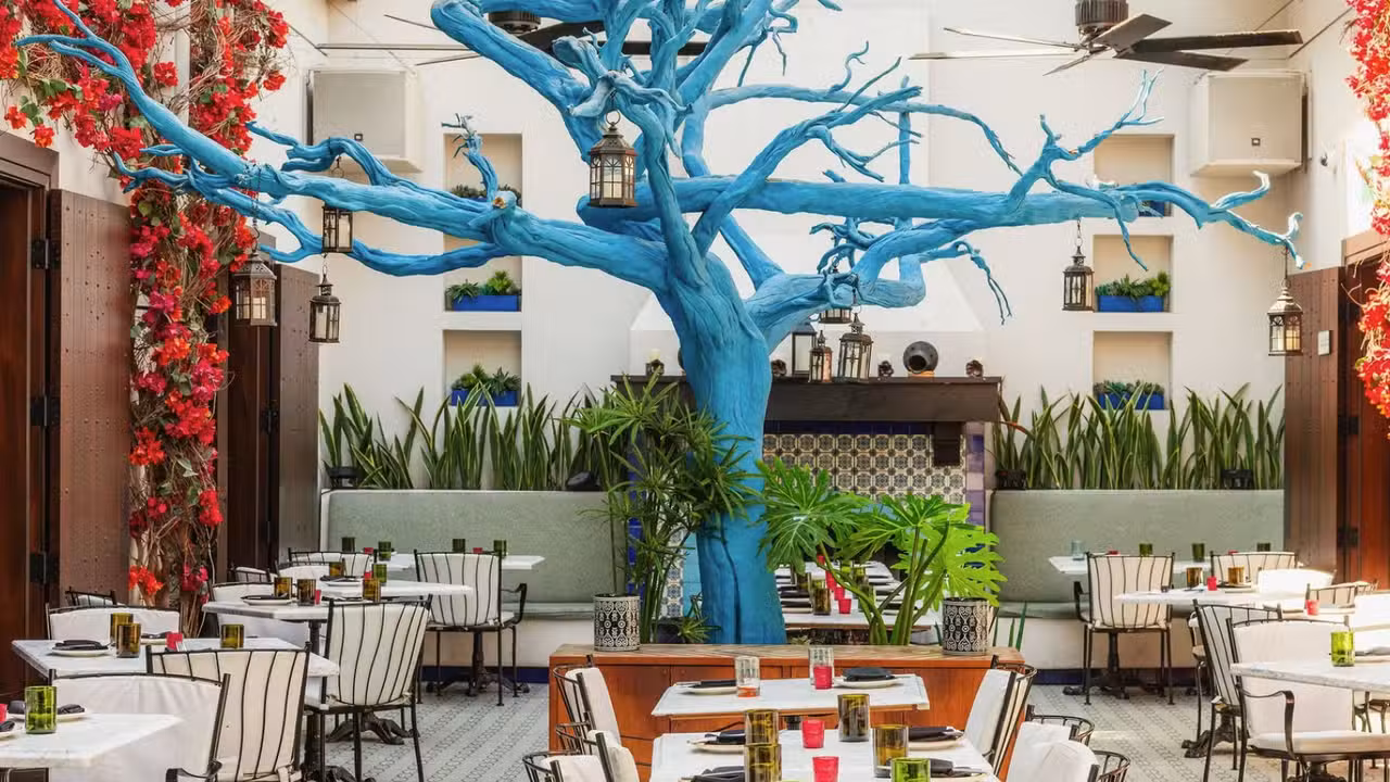 Te Deseo Dining Room - Te Deseo, Dallas, TX