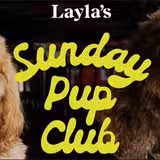 Sunday Pup Club photo