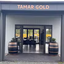 Tamar Goldの写真