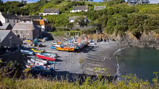 A photo of Cadgwith Cove Inn restaurant