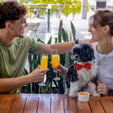 Doggy Brunch foto