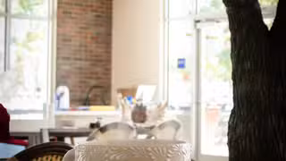 Een foto van restaurant Casa Frida