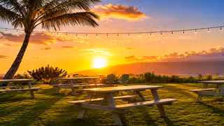Ocean Organic Farm and Distilleryの写真