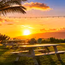 A photo of Ocean Organic Farm and Distillery restaurant