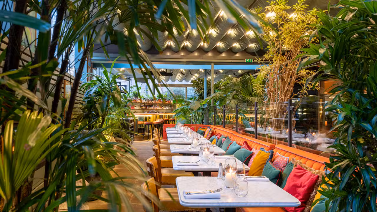 The Ivy City Garden, London, ENG