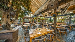 Old's Havana Cuban Bar & Cocina