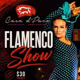 FLAMENCO SHOW foto