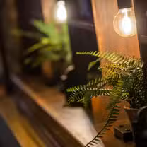 Una foto del restaurante The Plough