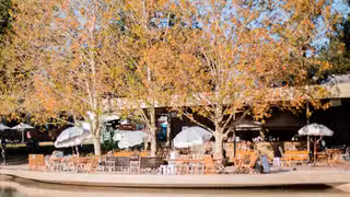 A photo of Puddle Duck restaurant