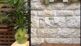 Una foto del restaurante Mómó Masseria Urbana