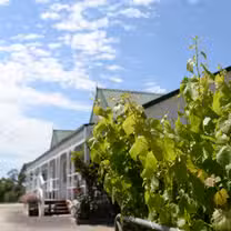 A photo of TREAND Cellar Door & Kitchen restaurant