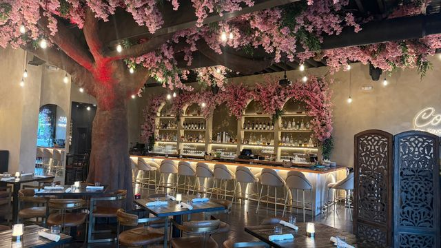 COCA Bar & Lounge | Restaurants In Hicksville