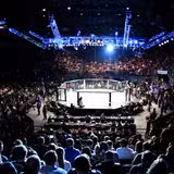 The Ultimate UFC Fight Night foto