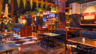 Una foto del restaurante Enchilada Dresden