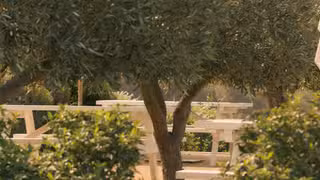 A photo of The Grove restaurant